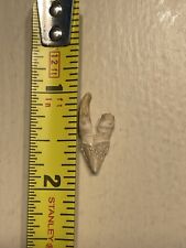 Squalodon Molar .82in Roots Intact *RARE* picture