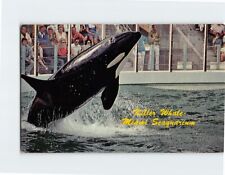 Postcard Killer Whale Miami Seaquarium Miami Florida USA picture