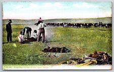 Western~Cowboys Branding Calves On The Open Range~Postmarked~Vintage Postcard picture