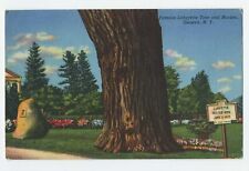 Famous Lafayette Tree and Marker, Geneva, N. Y. postcard A1 picture