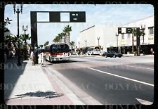 SCRTD-RTD. GM RTS BUS #8559. Long Beach (CA). Original Slide 1984. picture