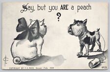 Postcard Say, but you ARE a Peach? Dog and Cat Couple, FA Moss, Denver CO 1909 picture