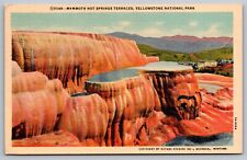 Mammoth Hot Springs Terraces Yellowstone National Park-Haynes Photo-VTG Postcard picture