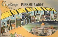 Large Letter Postcard Greetings From Punxsutawney Pennsylvania Capitol Building picture