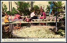 Postcard The Aviary In Sunken Gardens, St. Petersburg, Florida   M64 picture