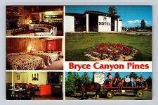 Panguitch UT-Utah, Bryce Canyon Pines Motel & Restaurant Vintage Postcard picture