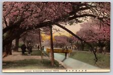 Cherry Blossoms Koganei Tokyo Postcard POSTED 1937 Japan Hand Colored picture