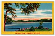 c1930's River Flowers Trees Greetings from Nokomis Illinois IL Postcard picture