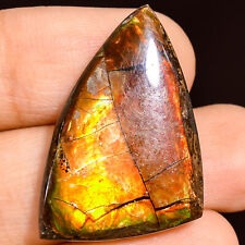 23.50Cts. Natural Play Of Multi Fire Ammolite Fancy Cabochon Loose Gemstone picture