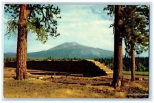 1954 Burney Mountain Trees Scene Burney California CA Posted Vintage Postcard picture