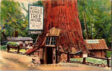 World Famous Tree House, Tree House Park, Redwood Highway, Vintage Postcard  picture
