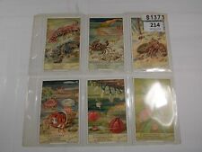 Liebig Trade Cards Schaaldieren Shellfish Complete Set 6 picture