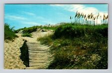 Virginia Beach VA-Virginia, Path With Sea Oats And Sand Dunes, Vintage Postcard picture