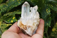 230 gm Healing White Yellow Pointer crystal Himalayan Quartz Rough Raw Specimen picture