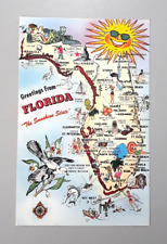 Vintage 1960's Postcard Florida - GREETINGS FROM FLORIDA The Sunshine State picture