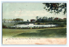 1906 The Lake City Point Park New Haven CT Posted View picture
