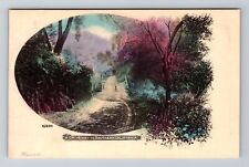 Southern California CA-California, Country Driveway, Antique Vintage Postcard picture