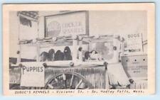 SOUTH HADLEY FALLS, MA ~ Cocker Spaniel Puppies DUBUC'S KENNELS c1940s Postcard picture