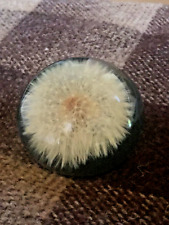 Vintage Tarax Infinity Dandelion Seed Puff Paperweight Handcrafted In Canada picture