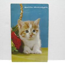 Postcard Vintage Beautiful Wellsville Ohio Little Cute Kitten Animal Cat  picture
