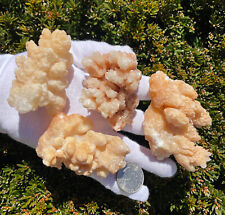 USA SALE SEE VIDEO 379g LOT 4 ARAGONITE CORAL CAVE CALCITE CLUSTER Botryoidal picture