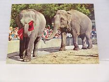 Vintage Postcard Singapore Zoo Two Elephants Performing Unposted picture