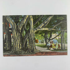 Postcard Florida FL Giant Banyan Tree Linen 1940s Unposted picture
