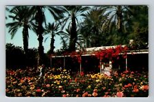 Coachella Valley CO-Colorado Shields Rose Garden Scenic View Vintage Postcard picture