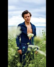  HARRY STYLES 8x10 PHOTO * picture