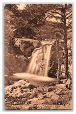 Natural Waterfall  Prescott Arizona AZ 1909 Brisley Drug Co Sepia DB Postcard T5 picture