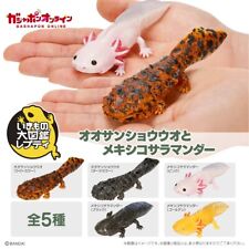 PSL Ikimono Encyclopedia Salamander [Set of 5] Gacha Capsule Toys BANDAI picture