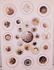 Antique Cameo Carved Pearl Shell BUTTONS Card of 25 Animals Insects & More NICE picture