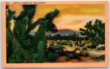 Postcard - Joshua Trees on the Desert picture