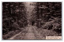 Trolly Road to Marietta Chiques Park Pennsylvania PA UNP DB Postcard T2 picture