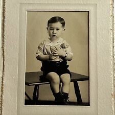 Vintage Studio Photograph Adorable Little Boy Hugging Toy Dog Petoskey MI picture