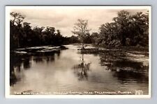 Tallahassee FL-Florida RPPC, The Wakulla River, Springs, Vintage Postcard picture