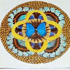 Butterfly Wing Folk Art Yellow Handmade Collage Vtg Taxidermy Abstract 17 x 17 picture