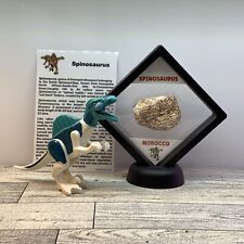 Spinosaurus Extinct Dinosaur Bone Fossil in Display Case with Toy picture