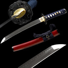 Polished 20'' Clay Tempered T10 Steel Japanese Samurai Tanto Sword Mini Katana picture