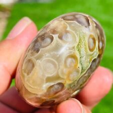 183g Natural Colourful Ocean Jasper Crystal Polished Palm stone Specimen Healing picture