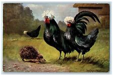 1907 Chicken Hen Animals Bethlehem Pennsylvania PA Posted Antique Postcard picture