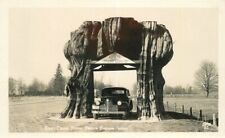 Arlington Washington Drive Through Stump 1930s RPPC Photo Ellis Postcard 21-4980 picture