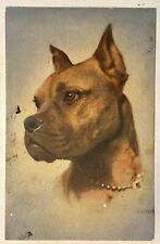 Vintage Boxer Dog postcard from Switzerland Postcard picture