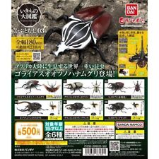 The Diversity of Life on Earth Beetle Vol 3 Bandai Gashapon Figure set of 6 picture