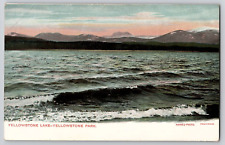 1904 RARE Yellowstone National Park HAYNES UDB Lake Green Back Unused Germany picture