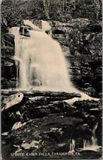 1908. CANADENSIS, PA. SPRUCE CABIN FALLS. POSTCARD. picture