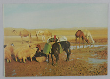 Judean Desert Near the Well in the Desert - Israel - Vintage Postcard picture