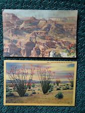 Grand Canyon National Park, & Octillo Flowering Catci postcards Arizona c1950's  picture