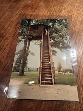 ARCOLA, IL Vintage Postcard Girl in Treehouse unmarked picture