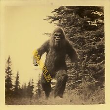 1800s Bigfoot- Vintage Reprint photo No 45900A picture